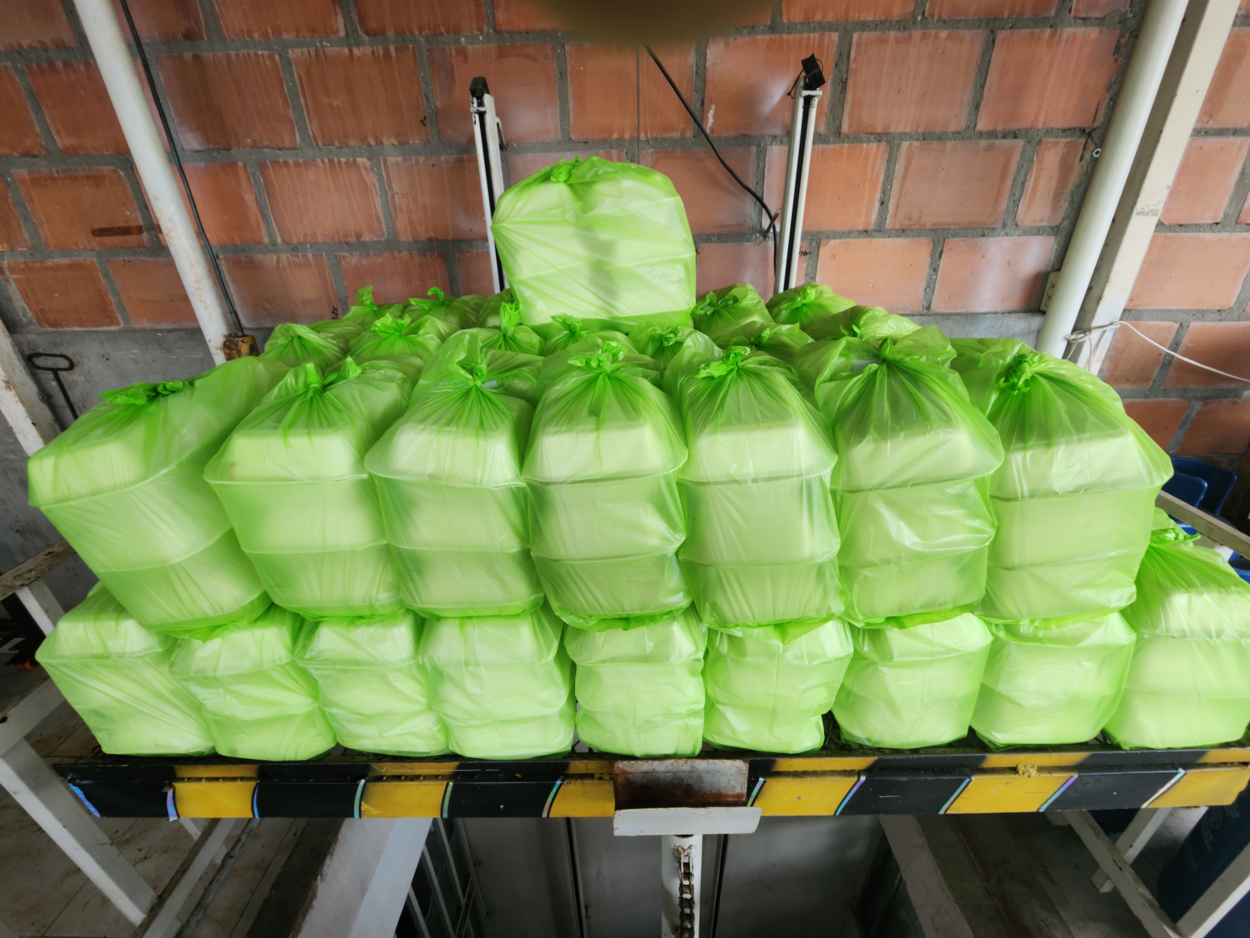 Cajas de Lechona al Por Mayor